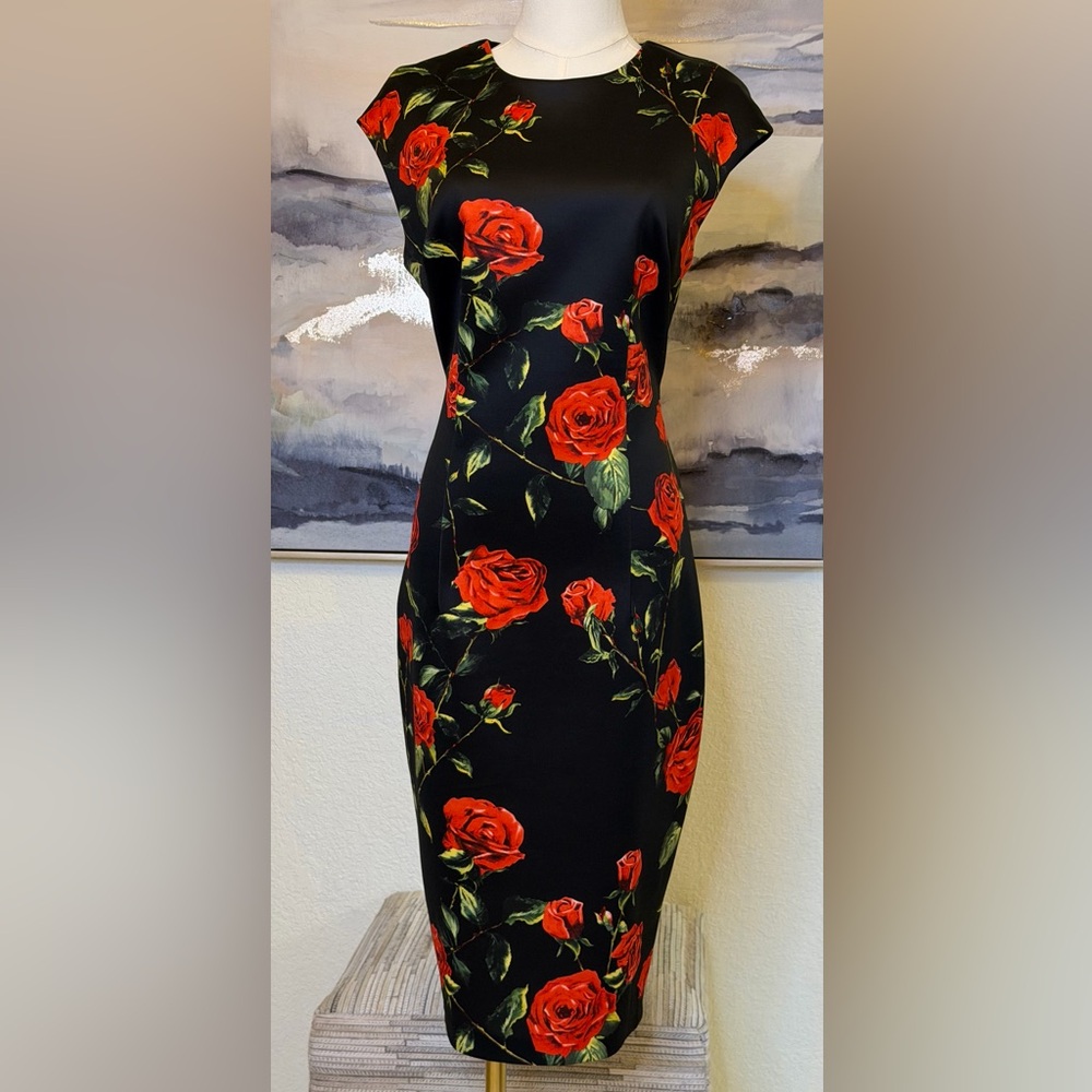 Alexia Admor Bodycon Rose Print Dress | Elegant Figure-Flattering Cocktail dress